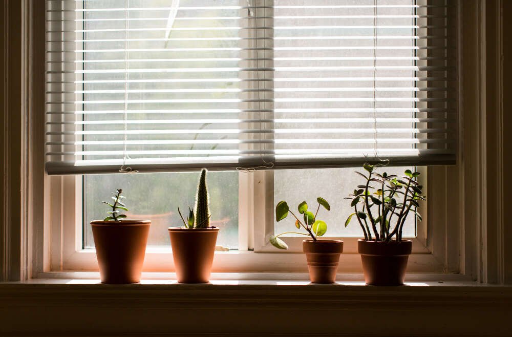 Vertical Blinds